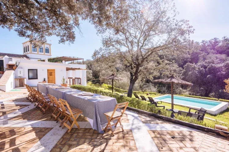 Imagen de Terraza vistas a jardín 