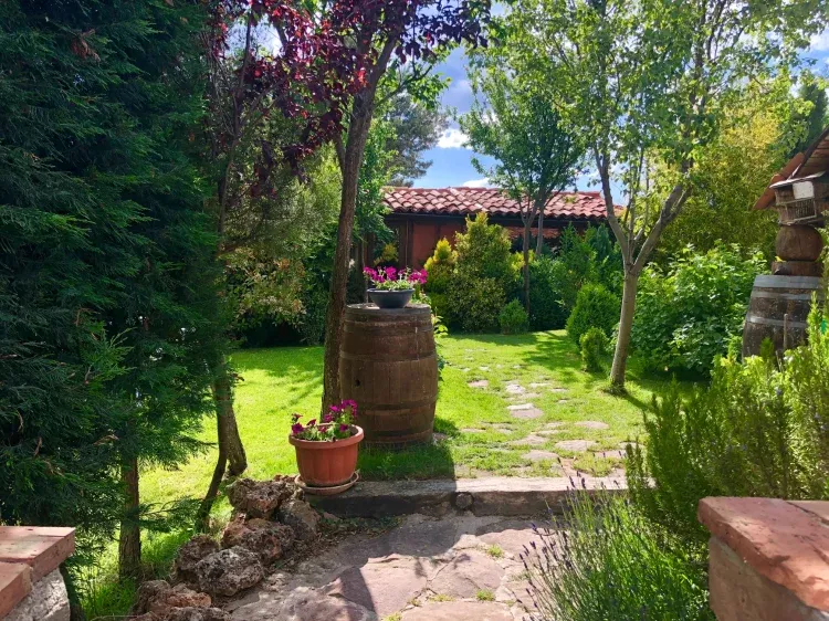 Imagen de Jardín entrada