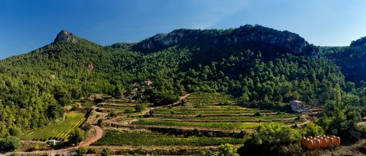Imagen de Finca Fontanals