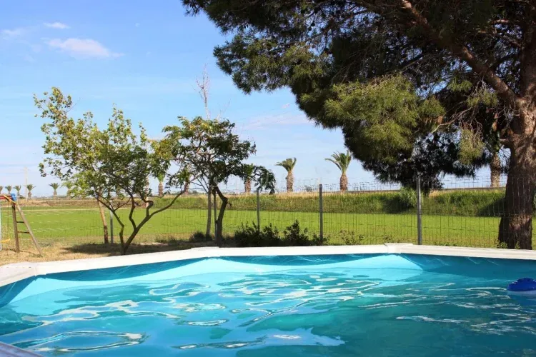 Imagen de Amplia zona exterior con terrazas, piscina y vistas a los arrozales