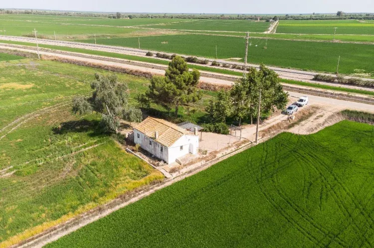 Imagen de Amplia zona exterior con terrazas, piscina y vistas a los arrozales