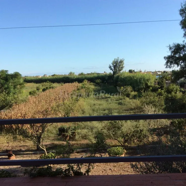 Imagen de Vista desde la terraza