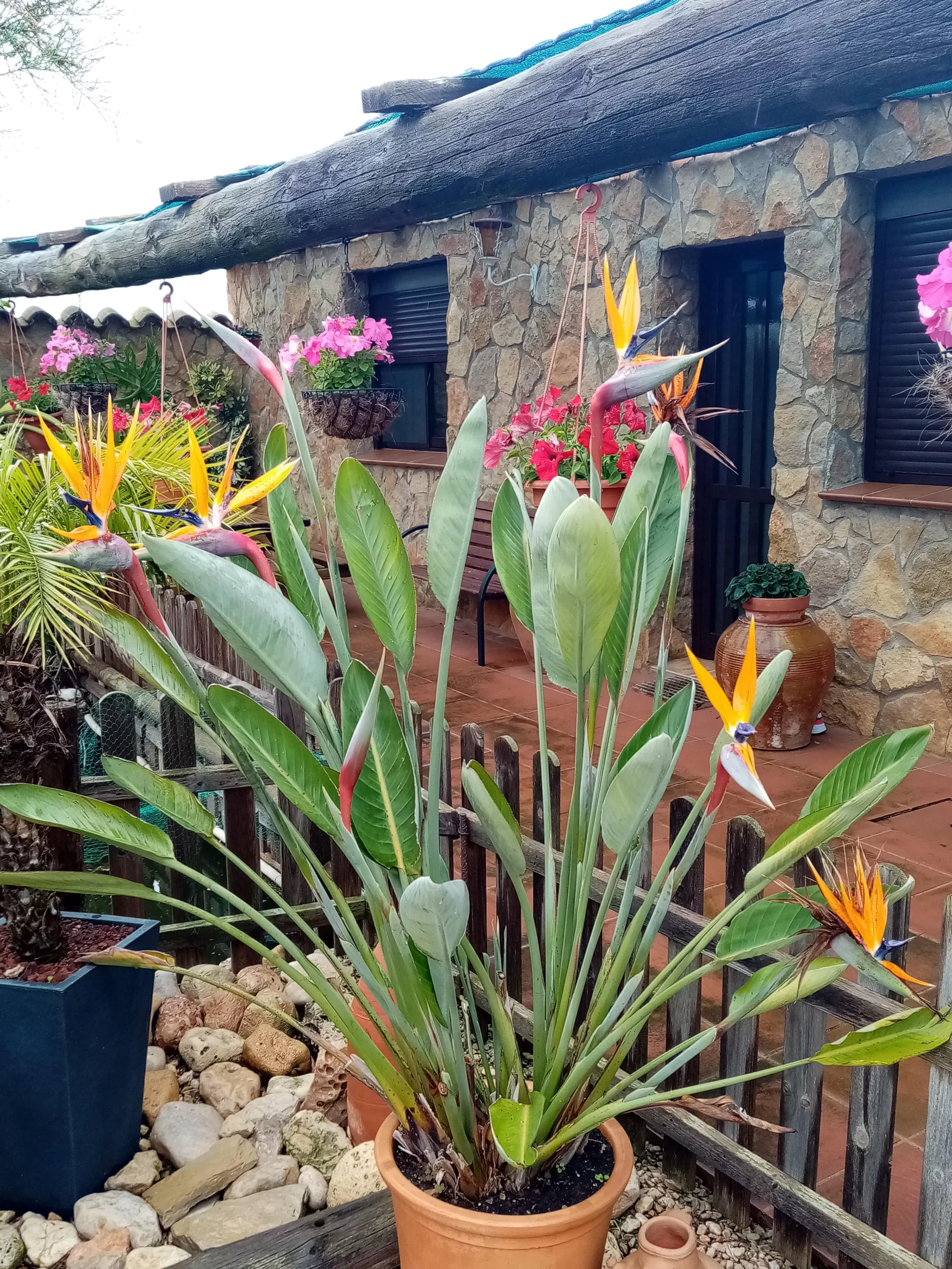 Imagen de Casa 1