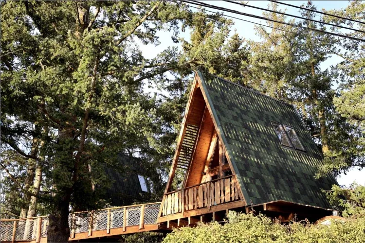 Imagen de Casa del árbol Premium