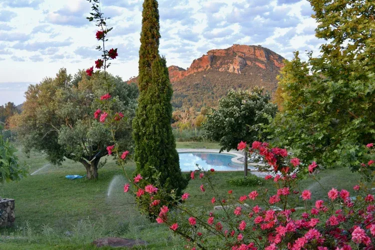 Imagen de Jardin piscina