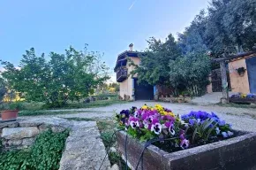 Imagen de Finca Josentonio