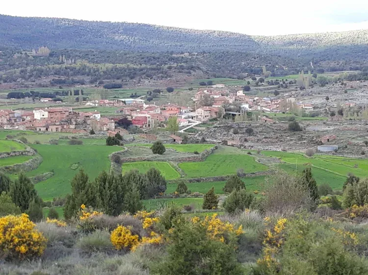 Imagen de Vista de Alobras