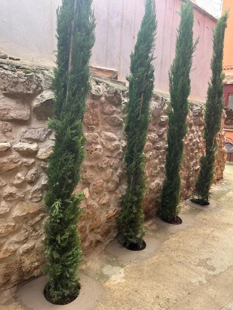 Imagen de Casa Miguela y Florentin.Patio