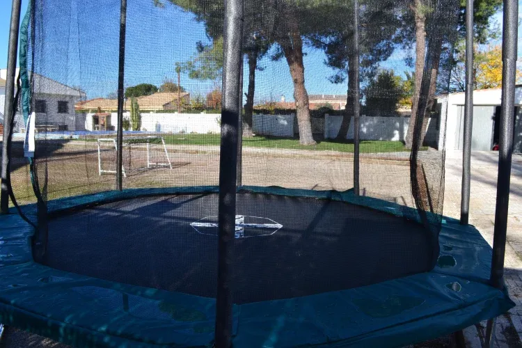 Imagen de Cama elastica