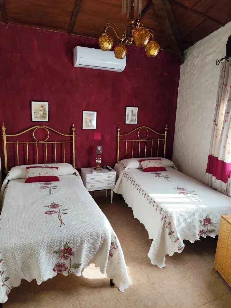 Imagen de Habitacion con 2 camas individuales
