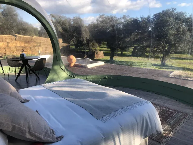 Imagen de Vistas cama