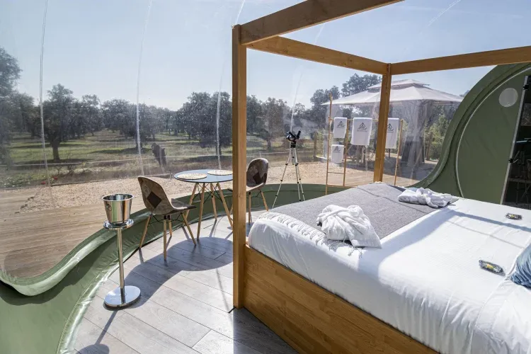 Imagen de vistas sky bubble standard
