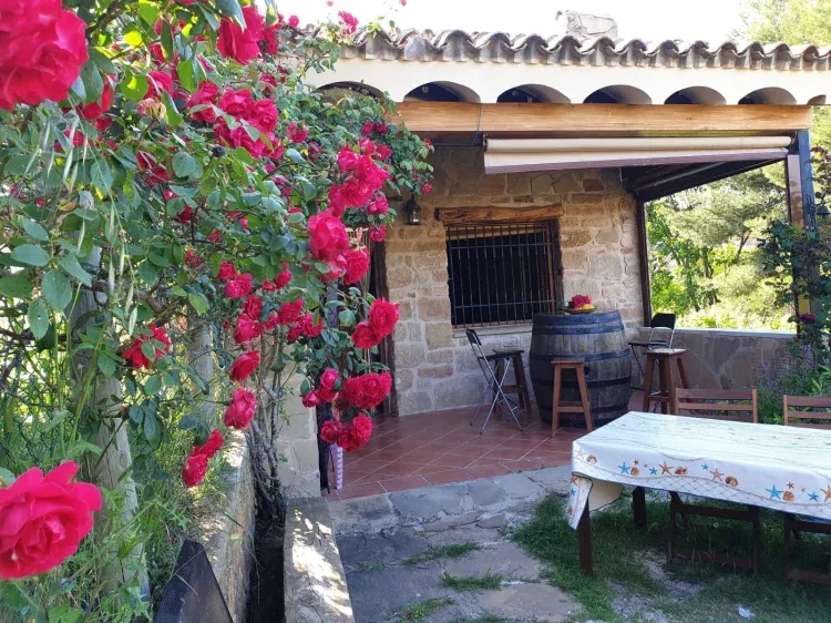 Imagen de Patio