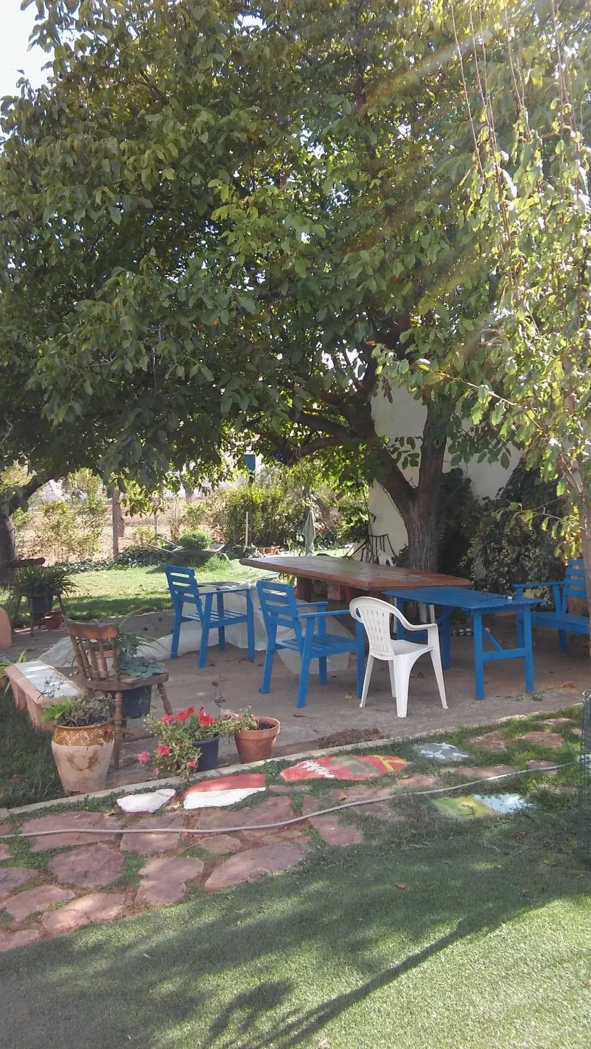 Imagen de Vista del jardín con una amplia mesa bajo la sombra de un nogal nogal