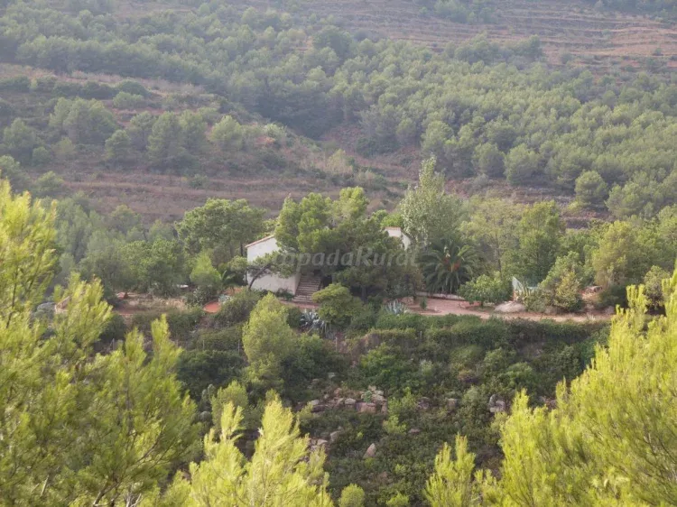 Imagen de Vista de la casa