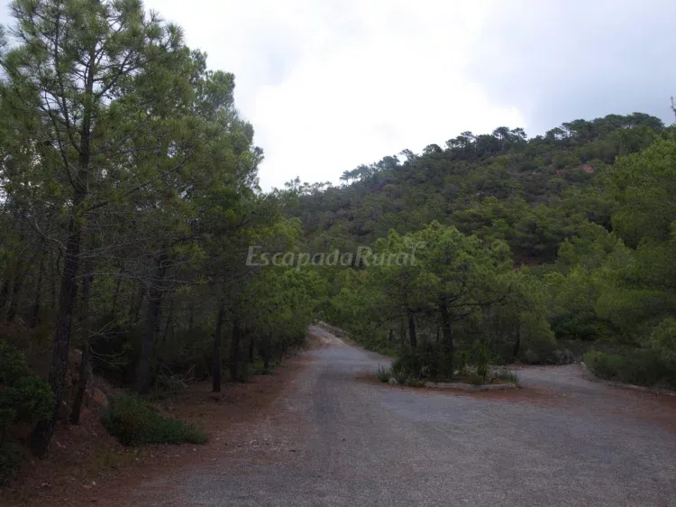 Imagen de Acceso