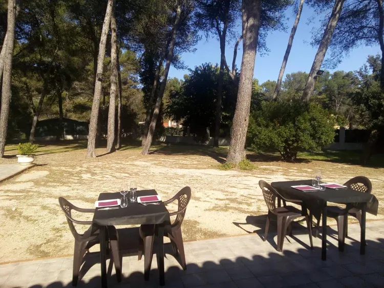 Imagen de Jardín