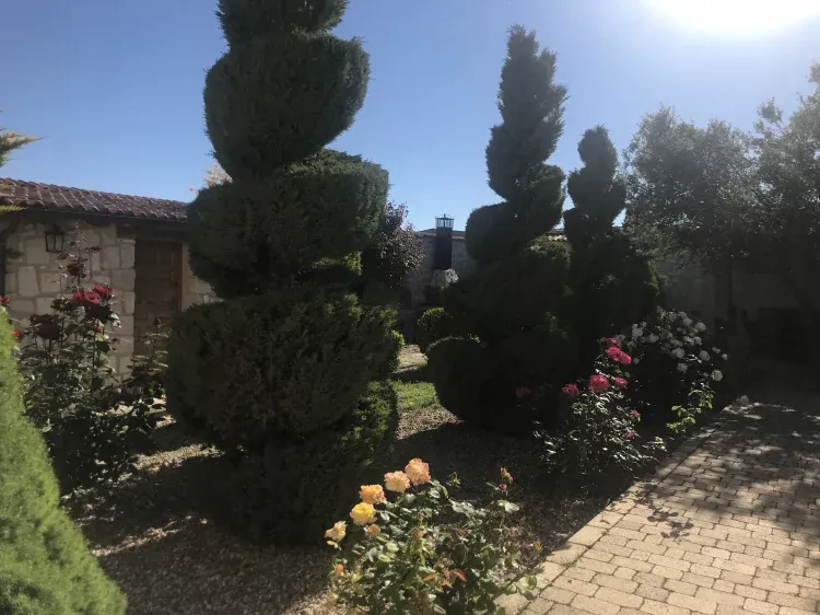 Imagen de Patio