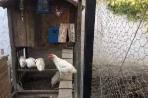 Imagen de Casa los Aperos
