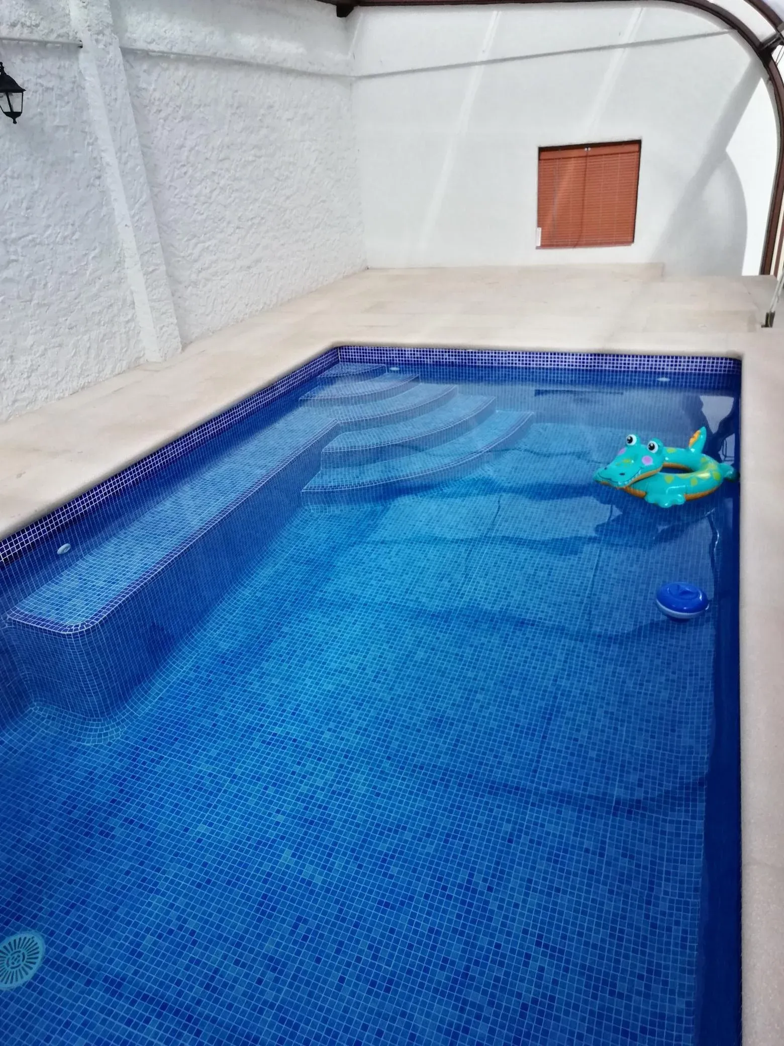 Imagen de Piscina cubierta, climatizada, 365 dias