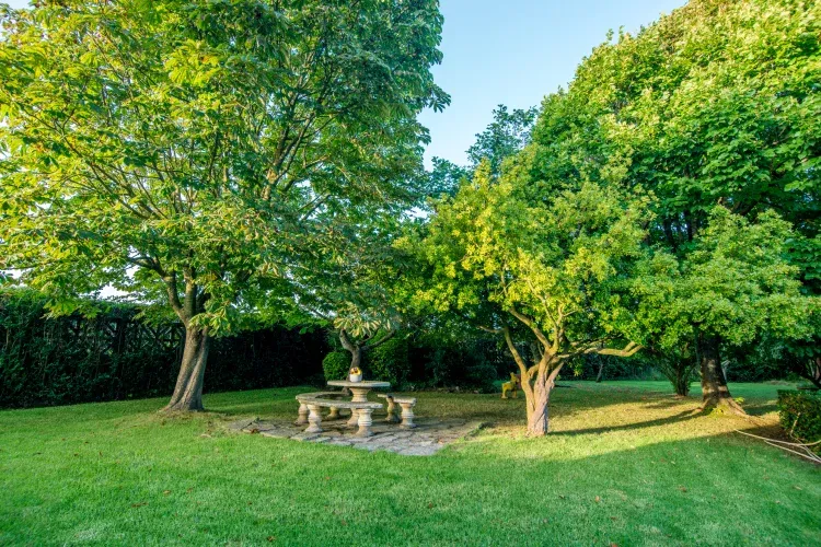 Imagen de Jardin delantero