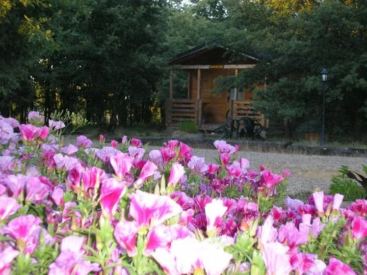 Imagen de Cabaña Barreiro