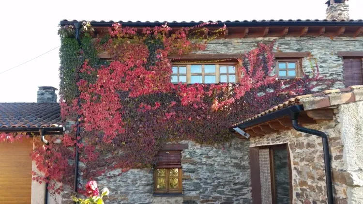 Imagen de La casa en otoño