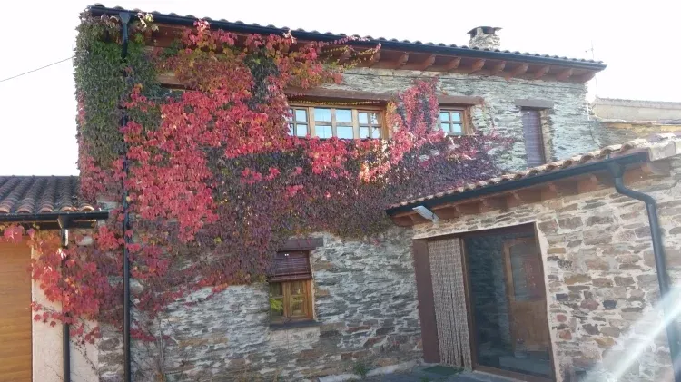 Imagen de La casa desee el jardin en otoño