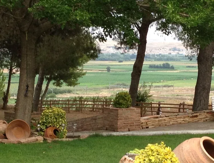 Imagen de Jardín