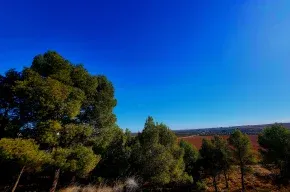 Imagen de Casa rural al Sol de las Ruinas