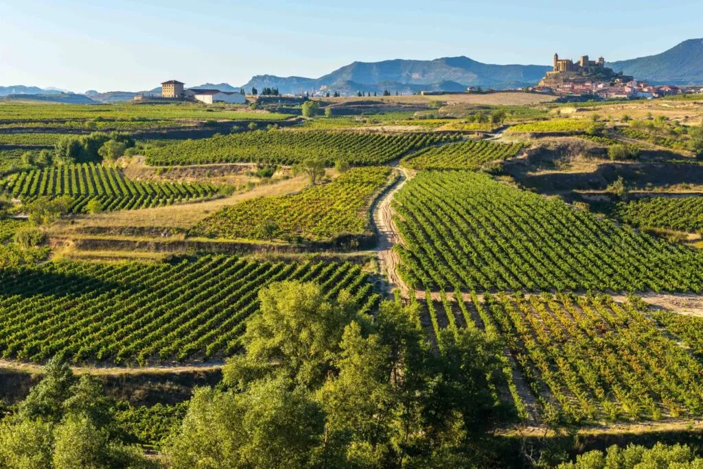 Imagen de Los 7 pueblos más bonitos de La Rioja para una desconexión rural