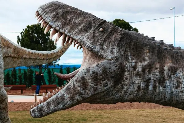 Imagen de Ruta por el Teruel prehistórico: pinturas rupestres y fósiles de dinosaurio 