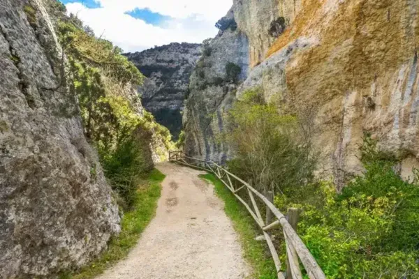 Imagen de Cuatro rutas en Burgos para senderistas