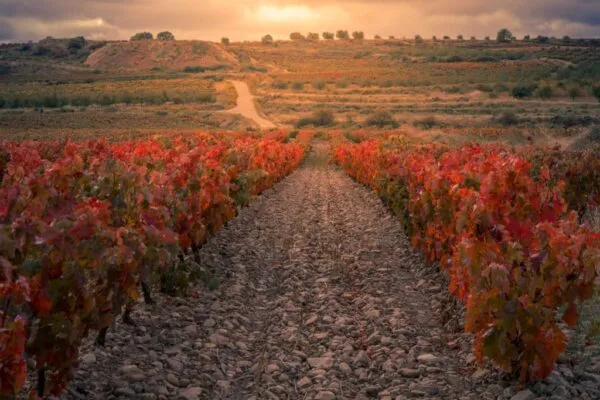 Imagen de Rutas de senderismo en La Rioja