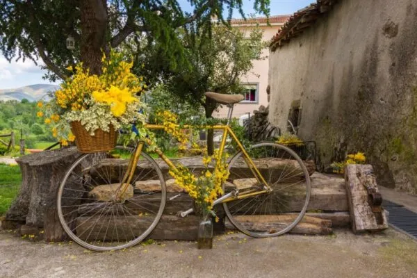 Imagen de “Slow life” en Ávila: donde la vida va a otro ritmo