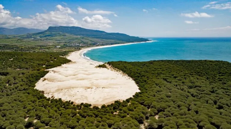 Imagen de Salvajes, vírgenes, con historia&#8230; Así son las 8 mejores playas de Cádiz
