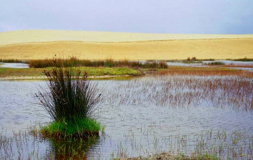 Corrubedo
