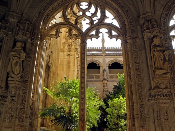 claustro