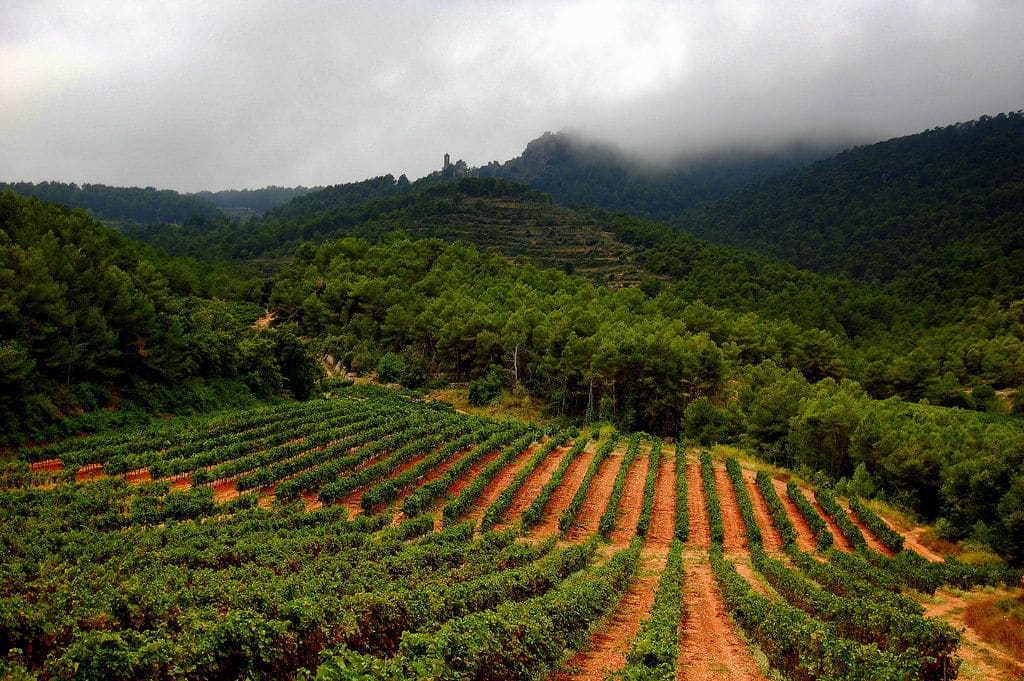 Penedès