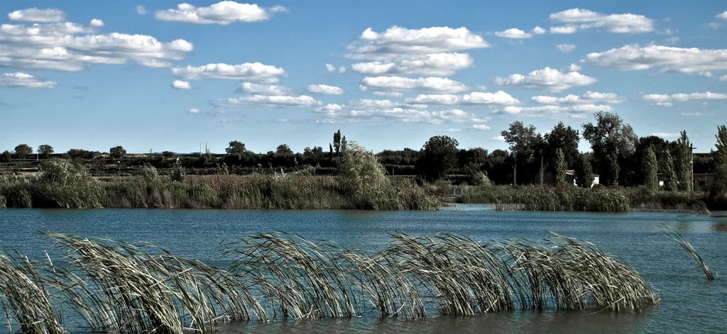 «La naturaleza es un personaje más de la película»