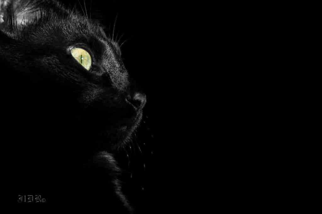12 curiosidades sobre el número 13