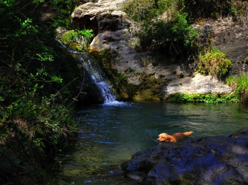 Parque Natural del Foix, en Barcelona. Por Angela Llop