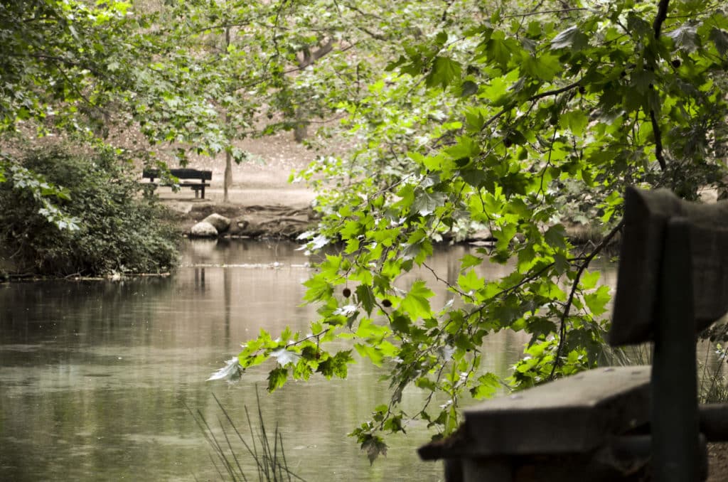 Fuentes del Marqués, paseos naturales en Caravaca de la Cruz