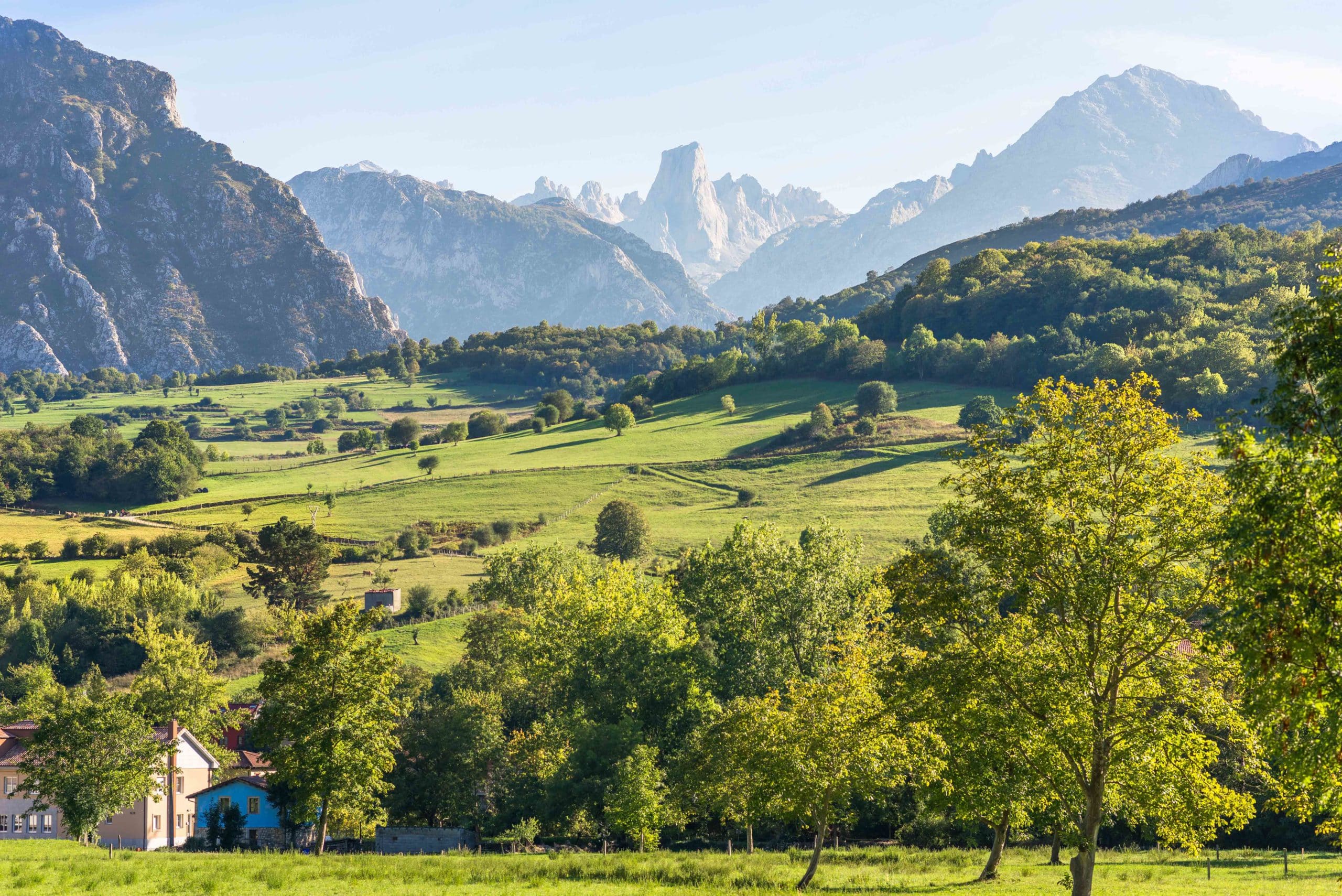 Bulnes