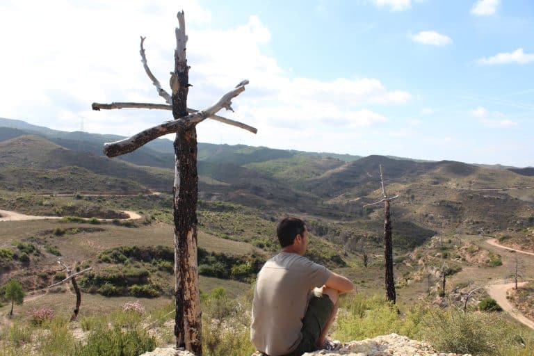 Bosque de cruces