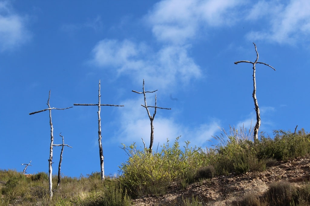 Bosque de cruces