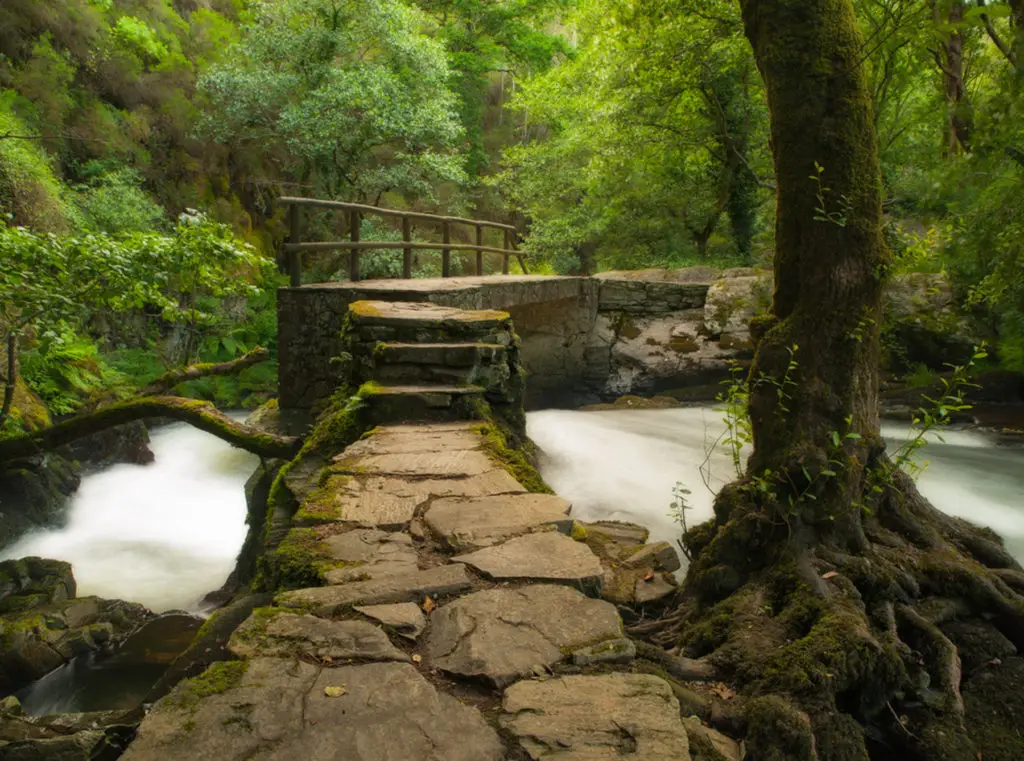 El encanto de Refugio de Verdes