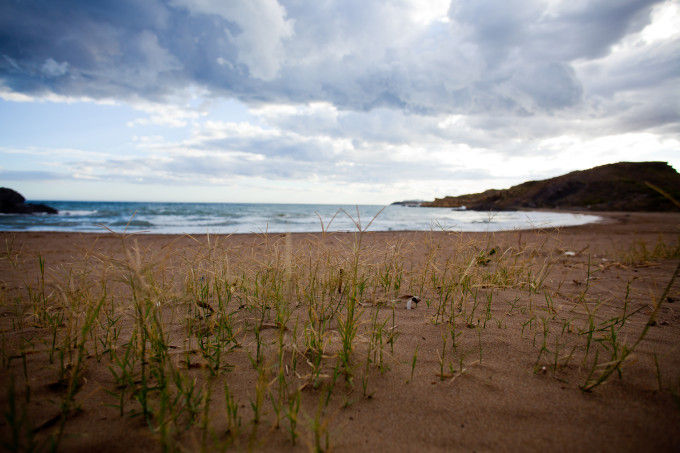 Puntas de Calnegre