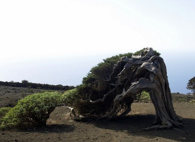 Ruta por la costa de El Hierro: de La Maceta a Las Puntas
