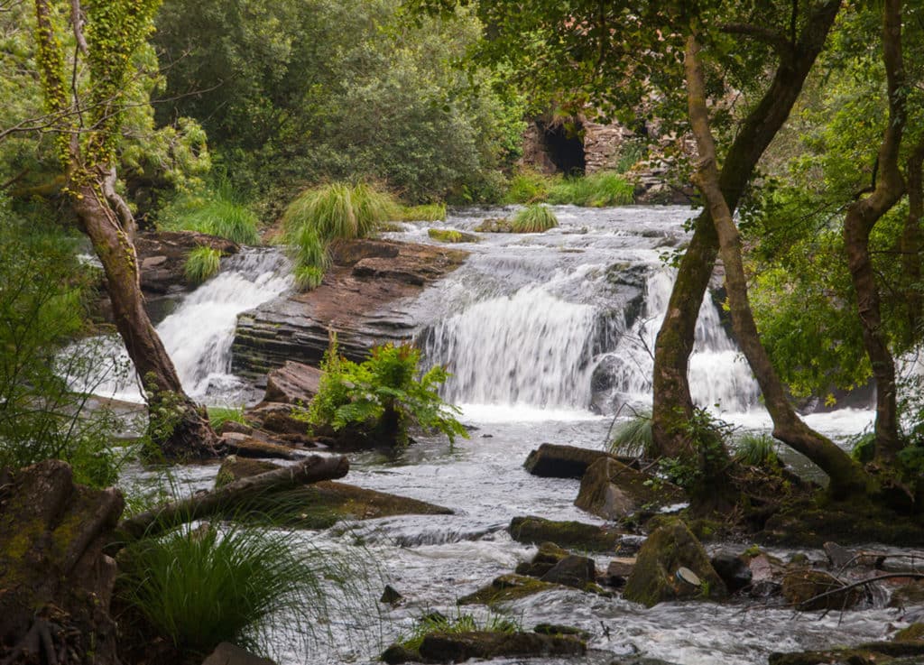 Refugio de Verdes